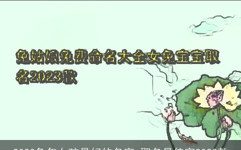 2023兔年女孩最好的名字 取名最佳字2023款