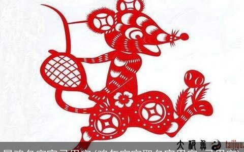 属鸡名字宜忌用字(鸡年宝宝取名宜用字,忌用字)