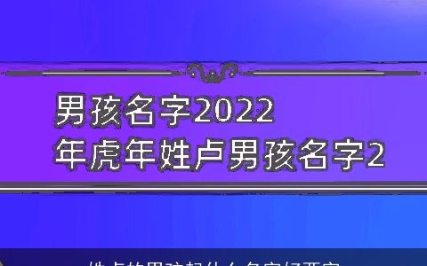 姓卢的男孩起什么名字好两字