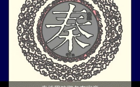 秦姓男孩取名有寓意