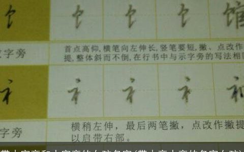 带木字旁和水字旁的女孩名字(带木旁水旁的名字女孩)