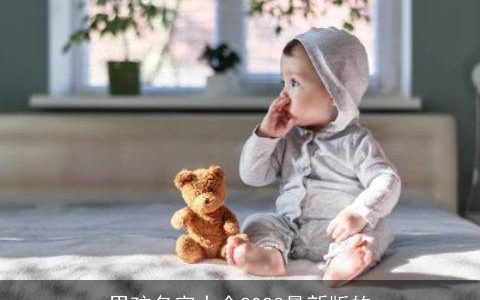 男孩名字大全2024最新版的