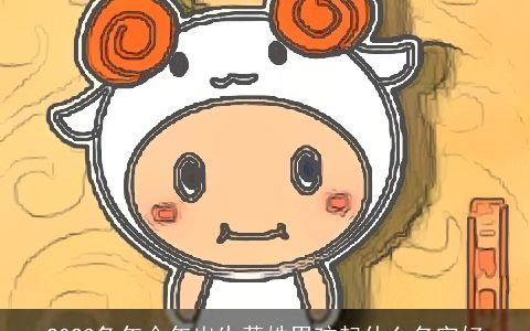 2024兔年今年出生黄姓男孩起什么名字好