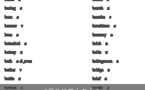 B开头的英文名大全