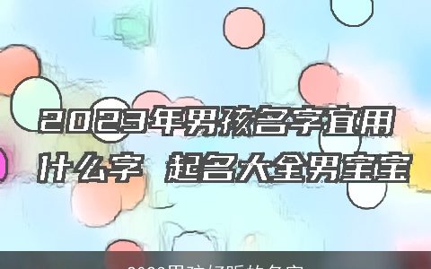 2024男孩好听的名字