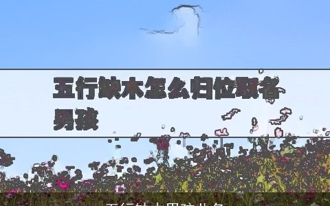 五行缺木男孩儿名