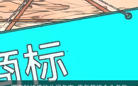 富有科技感的公司名字 贵气简洁企业名称