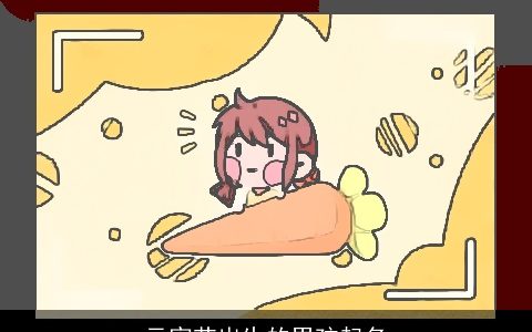 元宵节出生的男孩起名