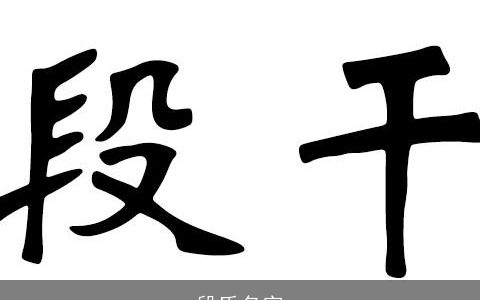 段氏名字