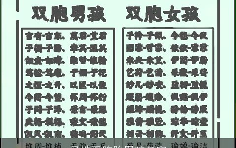 吴姓双胞胎男孩名字