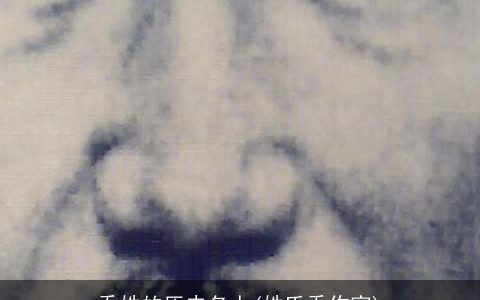 乔姓的历史名人(姓氏乔作家)