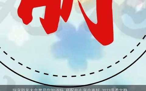 瑞字取名大全禁忌你知道吗 搭配什么字会更好 2024温柔文静瑞字取名禁忌你知道吗 搭配什么字会更好  取名网叁的小孩名字