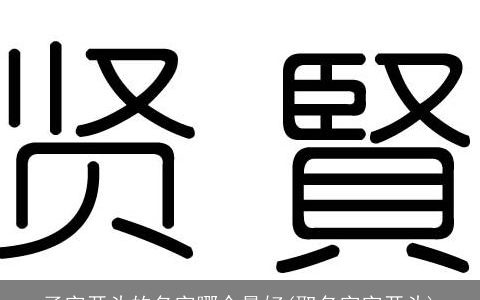 子字开头的名字哪个最好(取名字字开头)