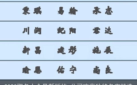 2024取名大全最新版的 公司响亮独特名字精选
