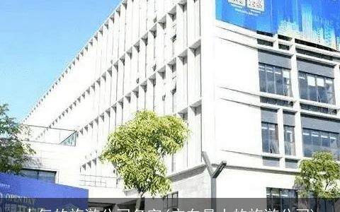 大气的旅游公司名字(广东最大的旅游公司)