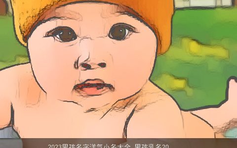 2023男孩名字洋气小名大全 男孩乳名2023洋气 洋气洋气的男孩小名男孩乳名名字最新