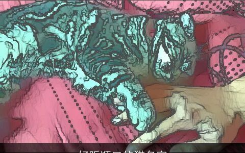 好听顺口的猫名字