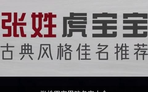 张姓四字男孩名字大全