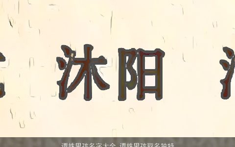 谭姓男孩名字大全 谭姓男孩取名独特一点 2024有涵养独特的谭姓男孩名