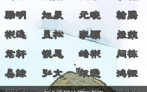 与众不同的男孩名字