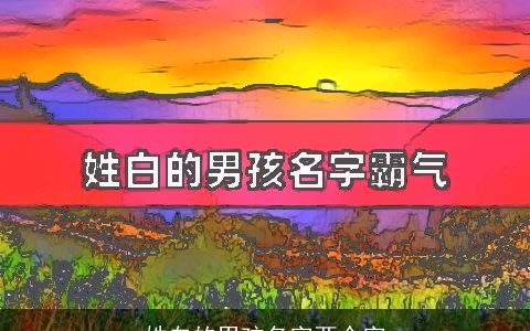 姓白的男孩名字两个字