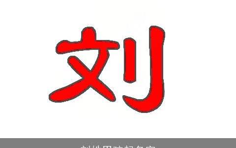 刘姓男孩起名字