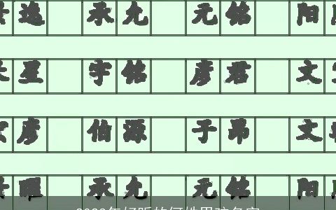 2024年好听的何姓男孩名字