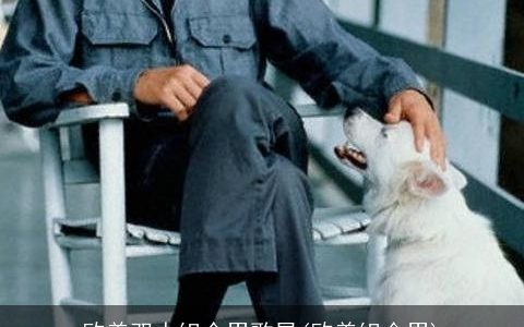 欧美双人组合男歌星(欧美组合男)