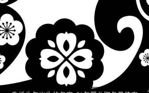 朱姓龙年出生的名字 21年婴儿取名最佳字