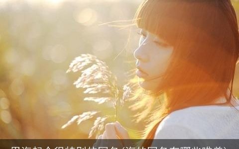 用海起个很特别的网名(海的网名有哪些唯美)