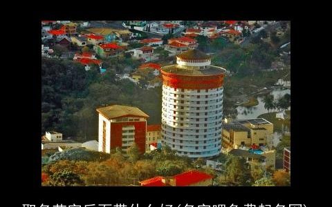 取名艺字后面带什么好(名字吧免费起名网)