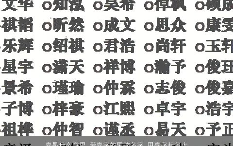 嘉是什么意思 带嘉字的男孩名字 用嘉字起名大全的寓意 2024帅气寓意的带嘉字男孩名字大全