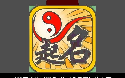 用鑫字给公司取名(公司取名宜用什么字)