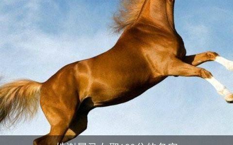 姓谢属马女取100分的名字