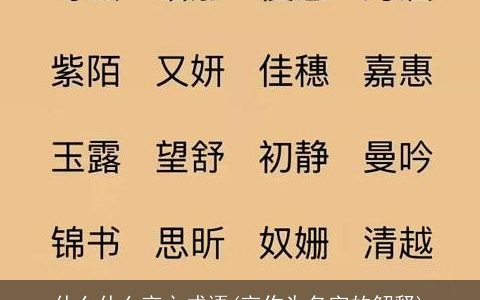 什么什么言之成语(言作为名字的解释)