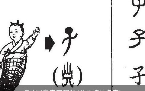 楠的同音字有哪些(关于楠的名字)