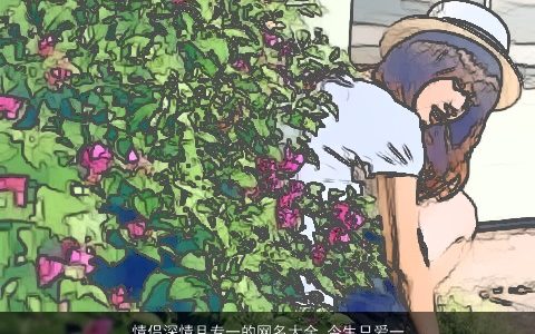 情侣深情且专一的网名大全 今生只爱一个人 温柔文静诗意的情侣网名名字精挑