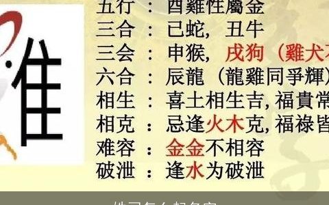 姓司怎么起名字