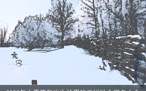 2023年大雪节气出生的男孩五行缺金取名大全