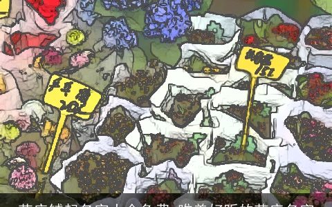 花店铺起名字大全免费 唯美好听的花店名字