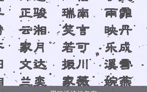 男孩姓桂的名字