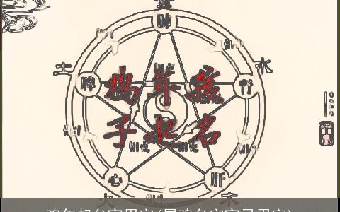 鸡年起名宜用字(属鸡名字宜忌用字)