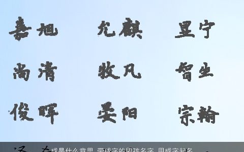 成是什么意思 带成字的男孩名字 用成字起名大全的寓意 2023有涵养寓意的带字男孩名