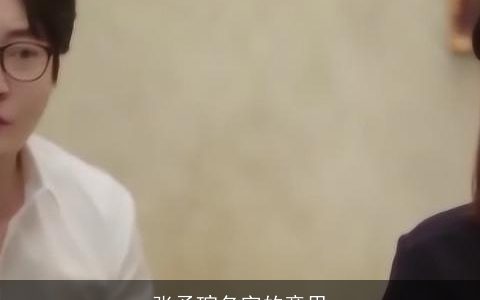 张予瑄名字的意思