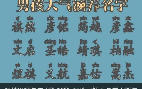 和姓男孩名字大全2023 和姓男孩儿名字大全集