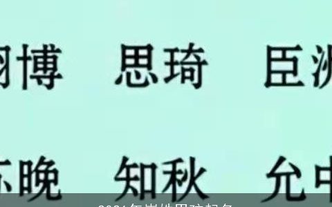 2021年崔姓男孩起名