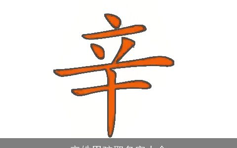 辛姓男孩取名字大全