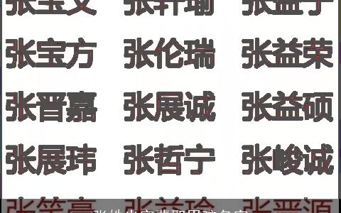 张姓光字辈取男孩名字