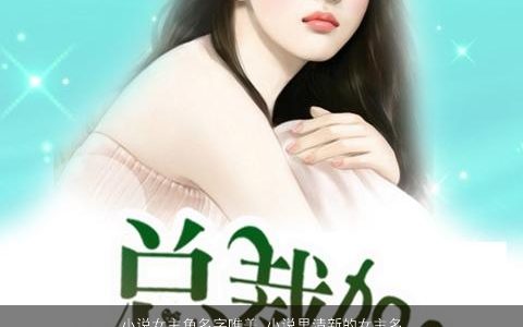 小说女主角名字唯美 小说里清新的女主名字大全 2023温柔文静唯美的女女名挑选