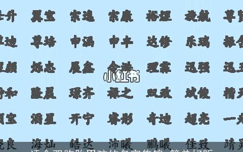 适合双胞胎男孩的名字集锦 简单好听